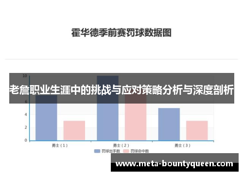 老詹职业生涯中的挑战与应对策略分析与深度剖析