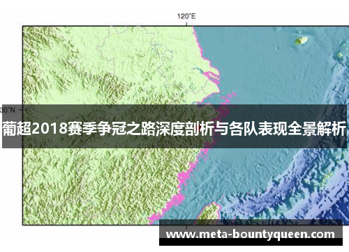 葡超2018赛季争冠之路深度剖析与各队表现全景解析