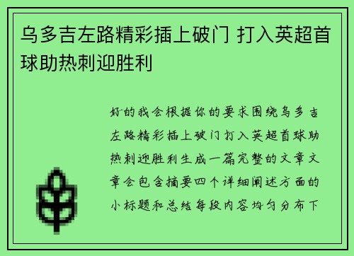 乌多吉左路精彩插上破门 打入英超首球助热刺迎胜利