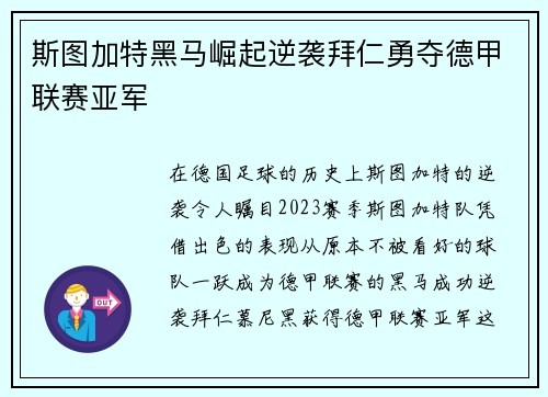 斯图加特黑马崛起逆袭拜仁勇夺德甲联赛亚军 斯图加特黑马崛起逆袭拜仁勇夺德甲联赛亚军